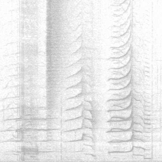 Audio Clip One Spectrogram